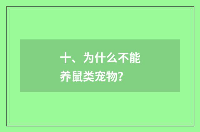 十、为什么不能养鼠类宠物？