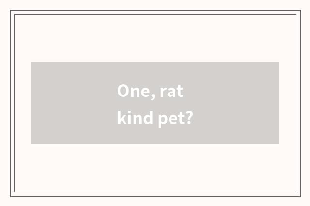 One, rat kind pet?