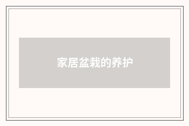 家居盆栽的养护