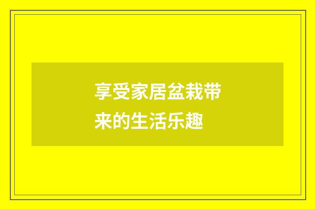 享受家居盆栽带来的生活乐趣