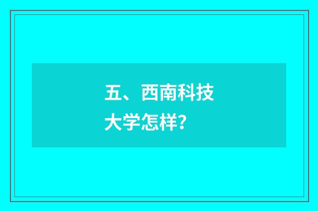 五、西南科技大学怎样？