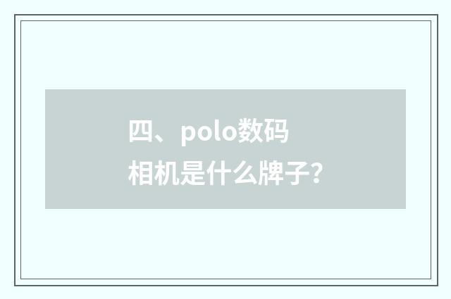 四、polo数码相机是什么牌子？