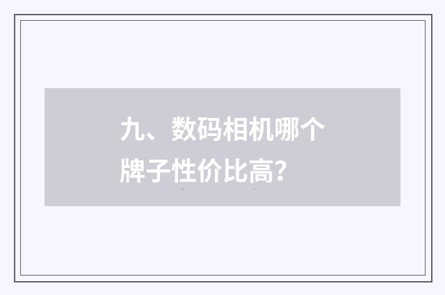 九、数码相机哪个牌子性价比高？