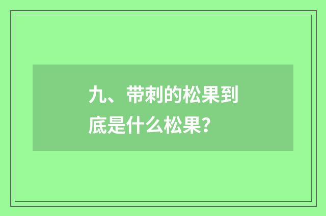 九、带刺的松果到底是什么松果?