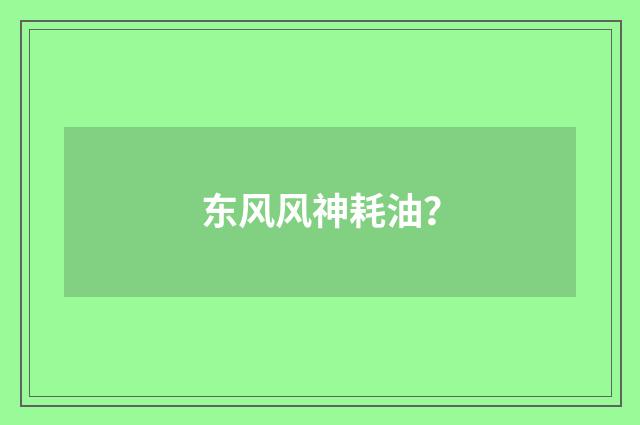 东风风神耗油？