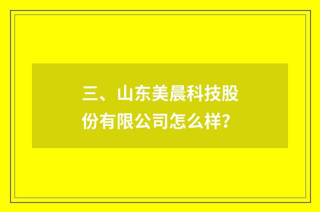 三、山东美晨科技股份有限公司怎么样？
