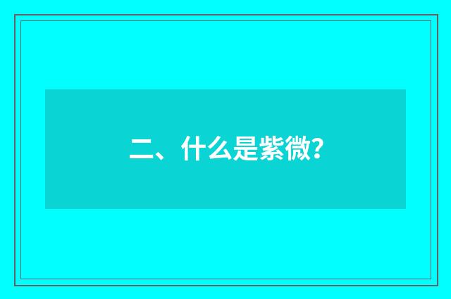 二、什么是紫微？