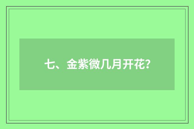 七、金紫微几月开花？