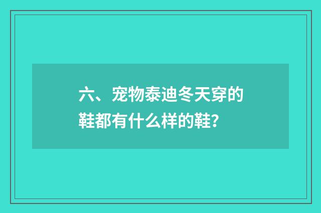 六、宠物泰迪冬天穿的鞋都有什么样的鞋？