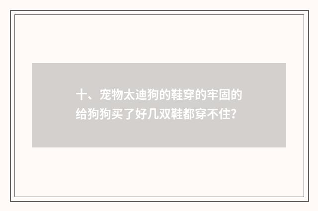 十、宠物太迪狗的鞋穿的牢固的给狗狗买了好几双鞋都穿不住？