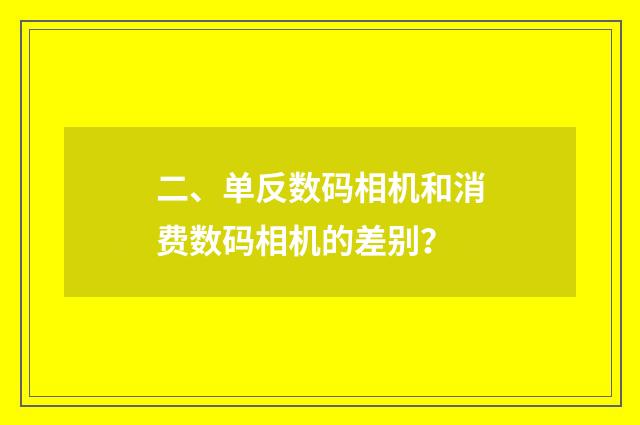 二、单反数码相机和消费数码相机的差别？