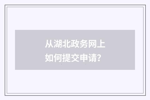 从湖北政务网上如何提交申请？