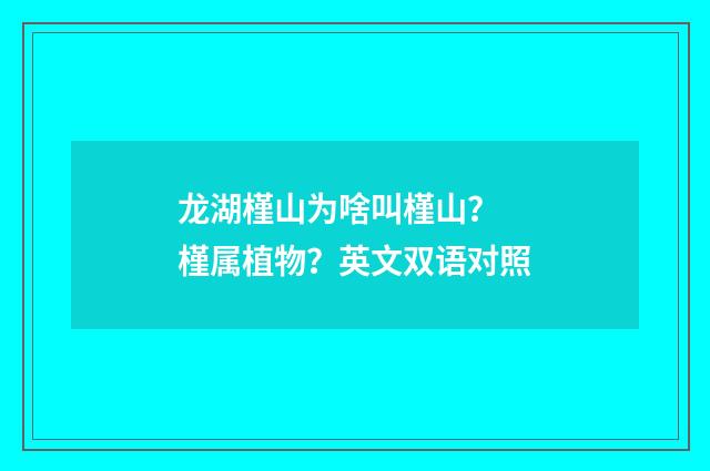 龙湖槿山为啥叫槿山？ 槿属植物？英文双语对照