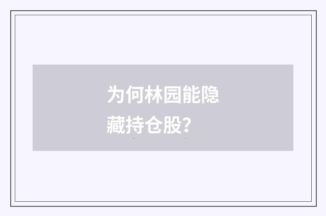 为何林园能隐藏持仓股？