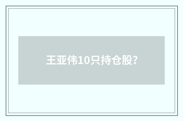 王亚伟10只持仓股？