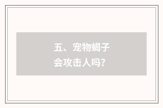 五、宠物蝎子会攻击人吗？