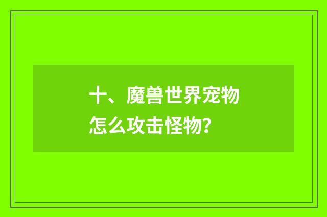 十、魔兽世界宠物怎么攻击怪物？