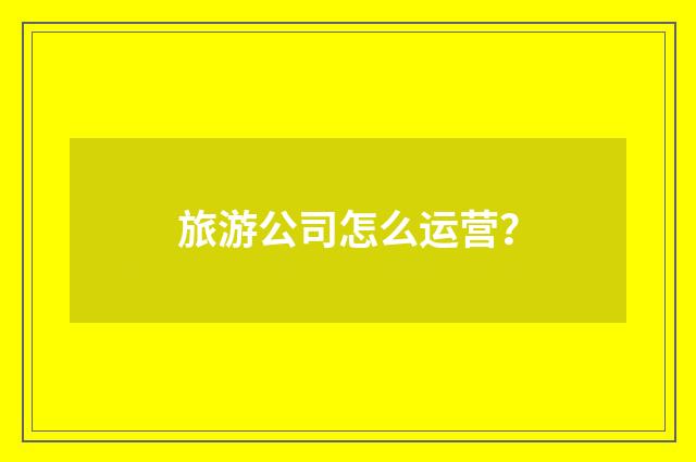 旅游公司怎么运营？