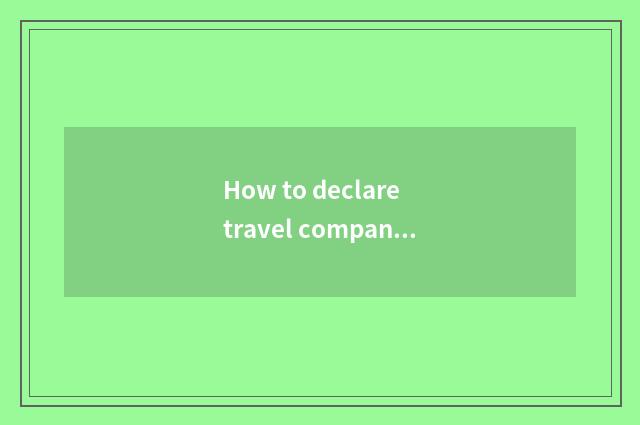 How to declare travel company?