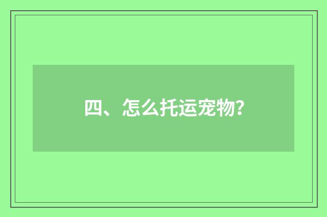 四、怎么托运宠物？