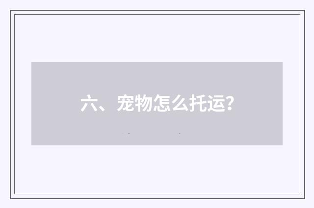 六、宠物怎么托运？
