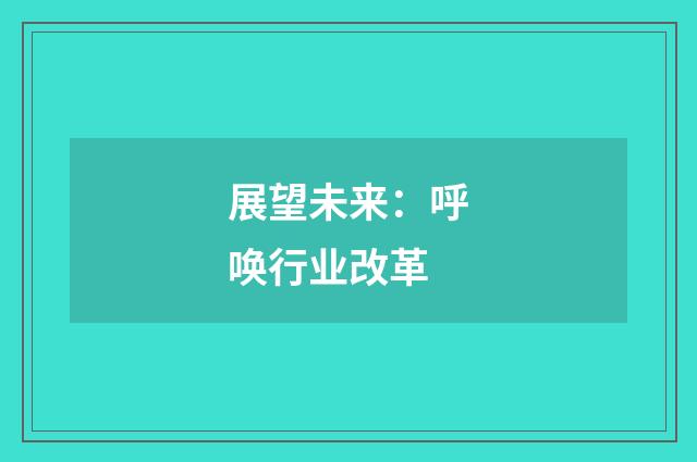 展望未来：呼唤行业改革