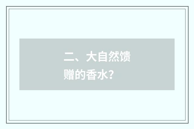 二、大自然馈赠的香水？