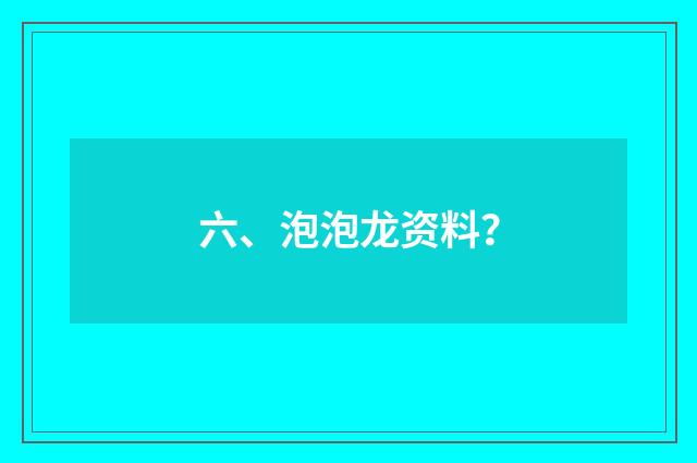 六、泡泡龙资料？