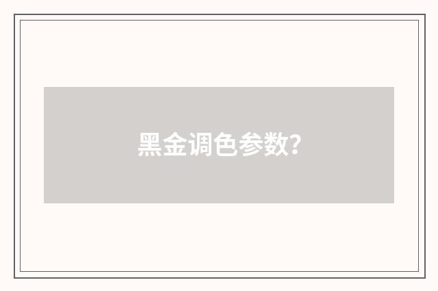 黑金调色参数？