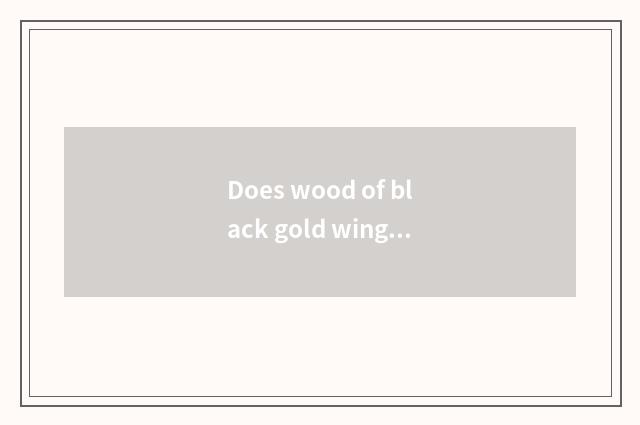 Does wood of black gold wingceltis introduce?