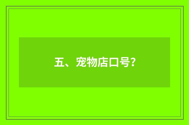 五、宠物店口号？