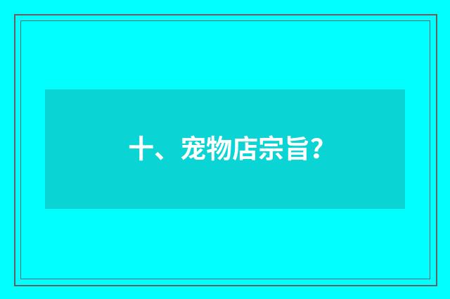 十、宠物店宗旨?