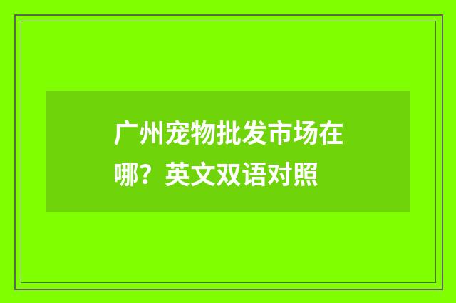 广州宠物批发市场在哪？英文双语对照