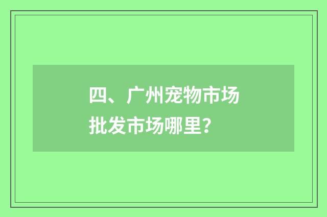 四、广州宠物市场批发市场哪里？