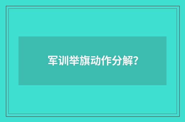 军训举旗动作分解？