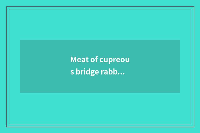 Meat of cupreous bridge rabbit?