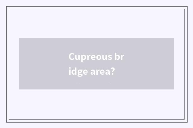 Cupreous bridge area?