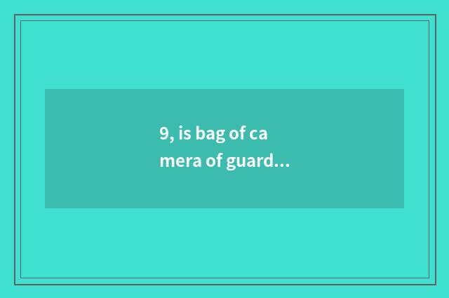 9, is bag of camera of guard against theft recommended?