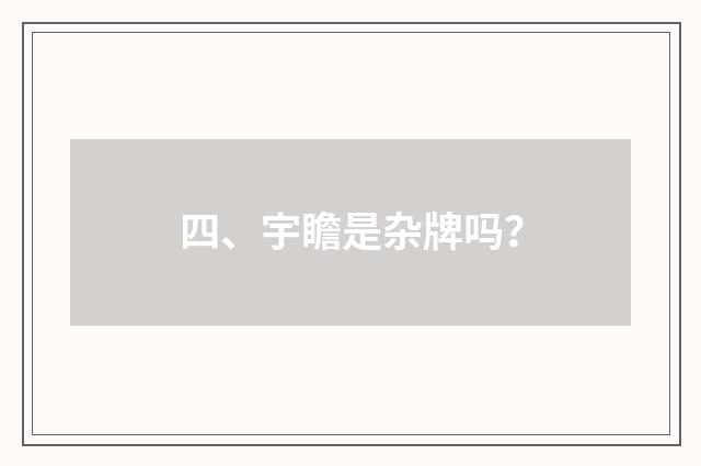 四、宇瞻是杂牌吗？