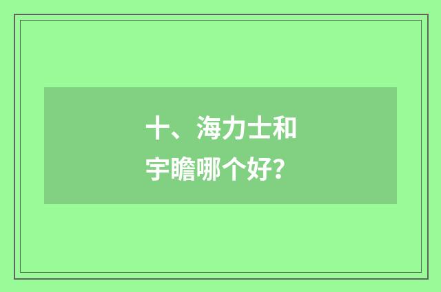 十、海力士和宇瞻哪个好？