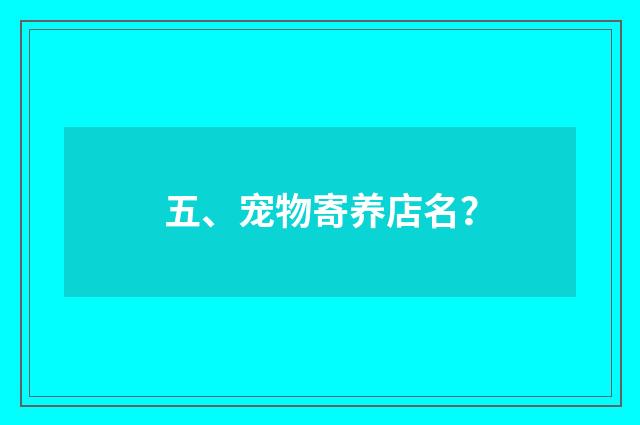 五、宠物寄养店名？