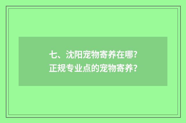 七、沈阳宠物寄养在哪?正规专业点的宠物寄养？