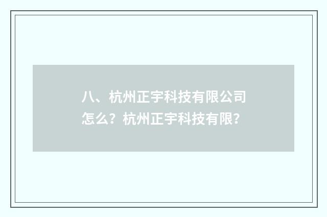 八、杭州正宇科技有限公司怎么？杭州正宇科技有限？