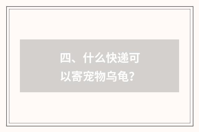 四、什么快递可以寄宠物乌龟？