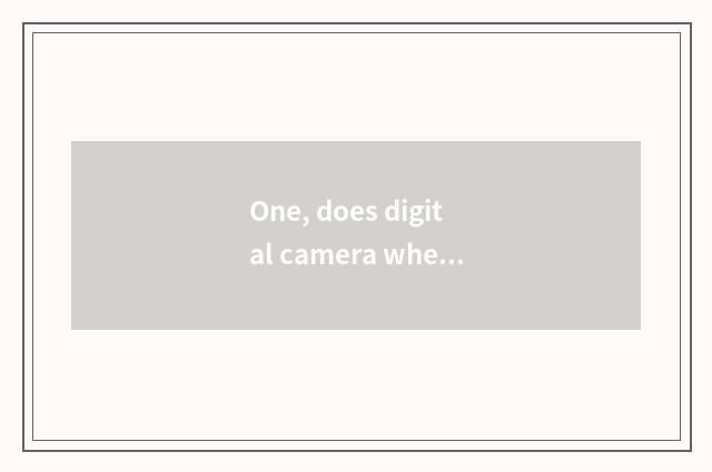 One, does digital camera where buy petty gain?