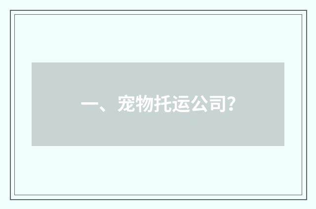 一、宠物托运公司？