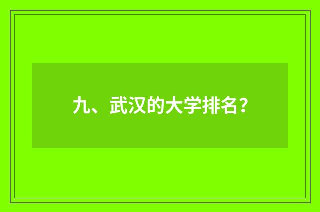 九、武汉的大学排名？