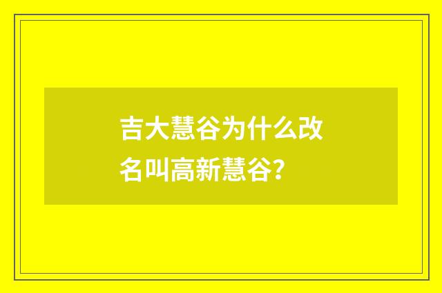 吉大慧谷为什么改名叫高新慧谷？