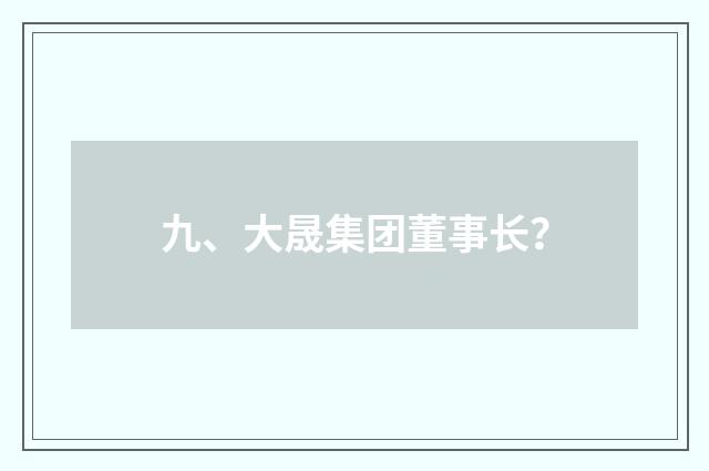九、大晟集团董事长？