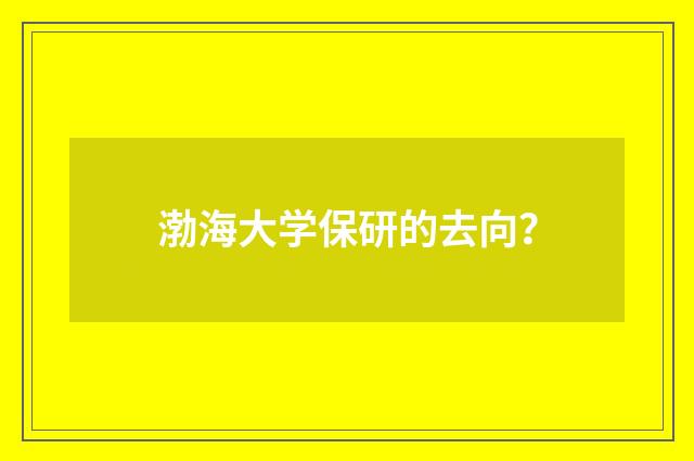 渤海大学保研的去向？